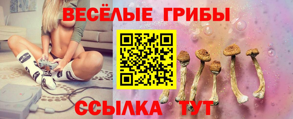 Псилоцибиновые грибы прущие грибы Михайловка